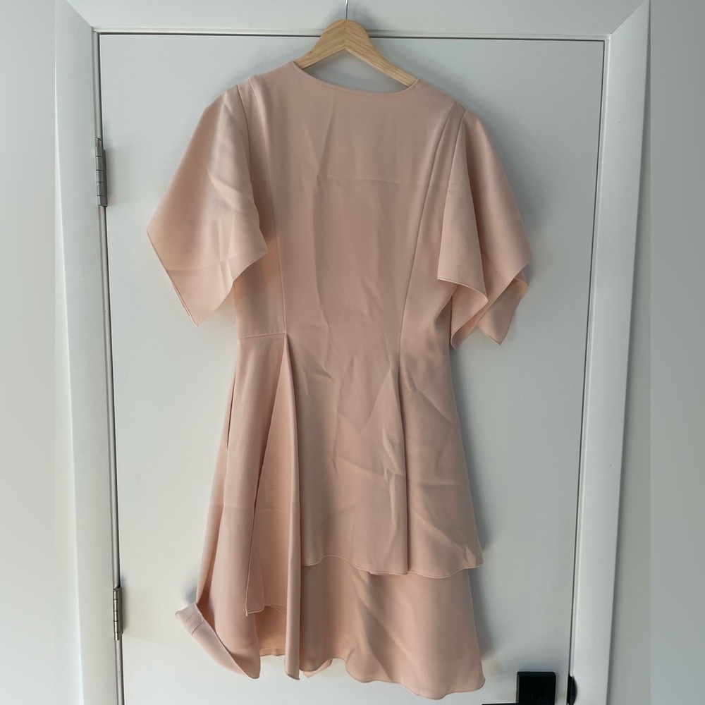 Adeam • Blush Flutter Sleeve Dress - Picture 6 of 9